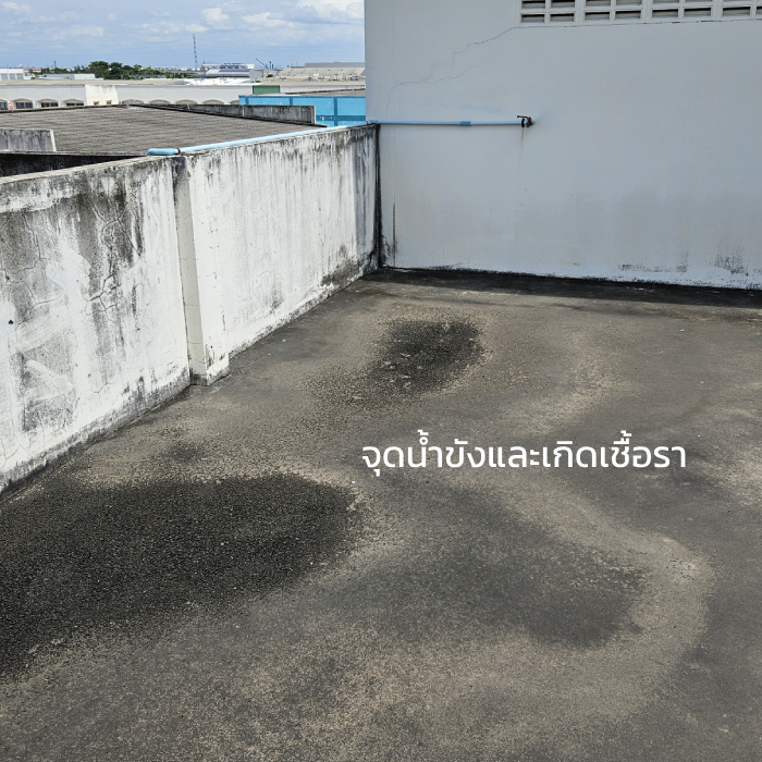 ซ่อมดาดฟ้ารั่วซึม