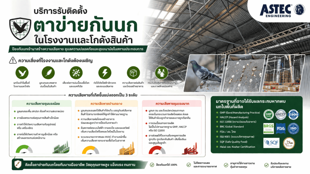 รับติดตั้งตาข่ายกันนก