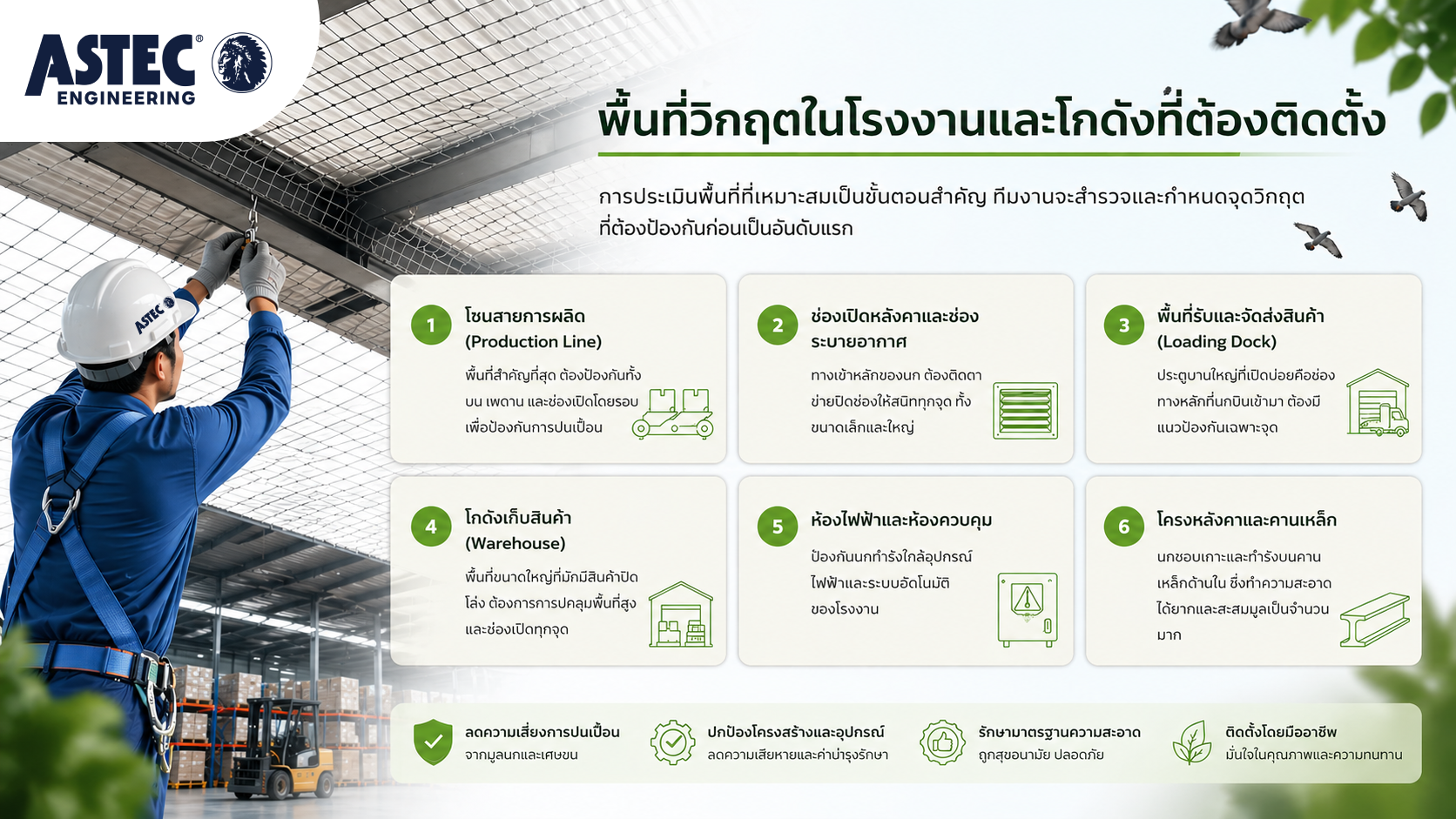 ติดตั้งตาข่ายกันนก