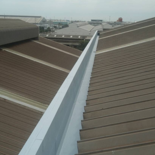 ทากันซึมรางน้ำ