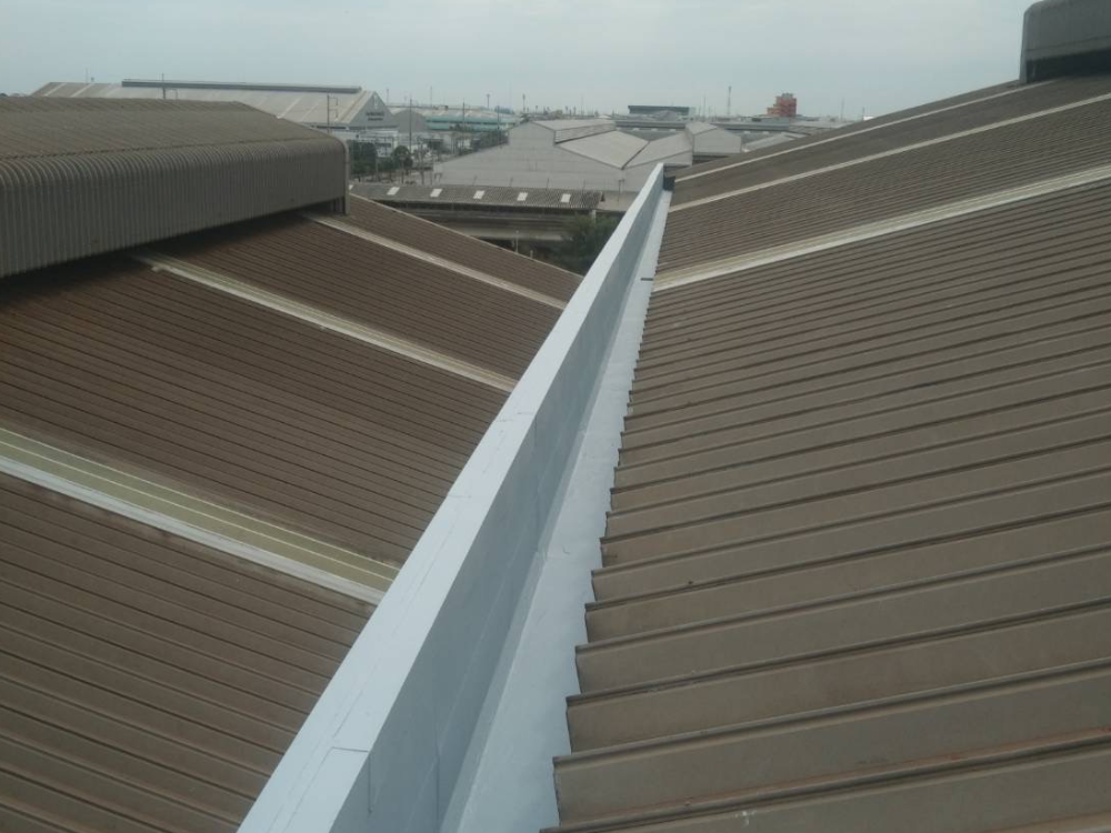 ทากันซึมรางน้ำ