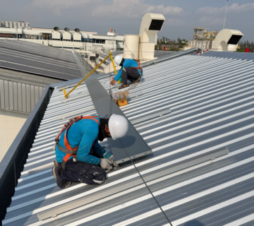 ใบเซอร์ที่สูง