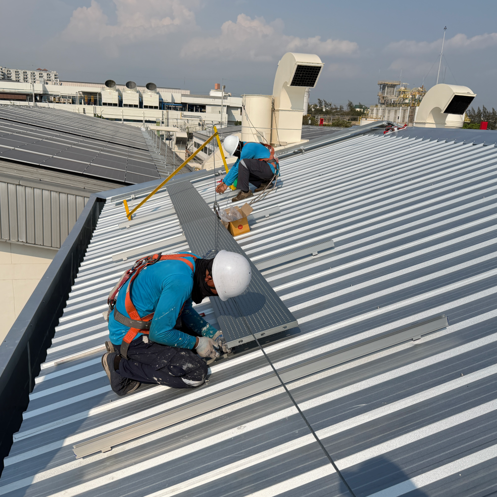 ใบเซอร์ที่สูง